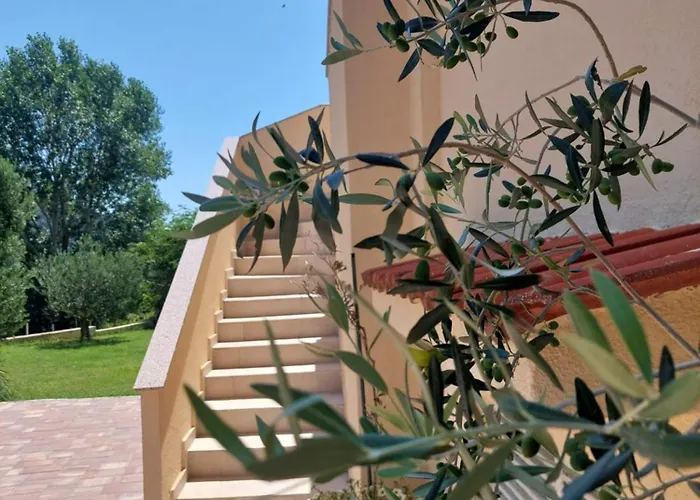 Novouredeni Marko Apartman *
