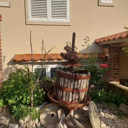 Novouredeni Marko *